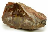 Polished Yellow Cat Jasper Replaced Petrified Wood - Utah #322651-1